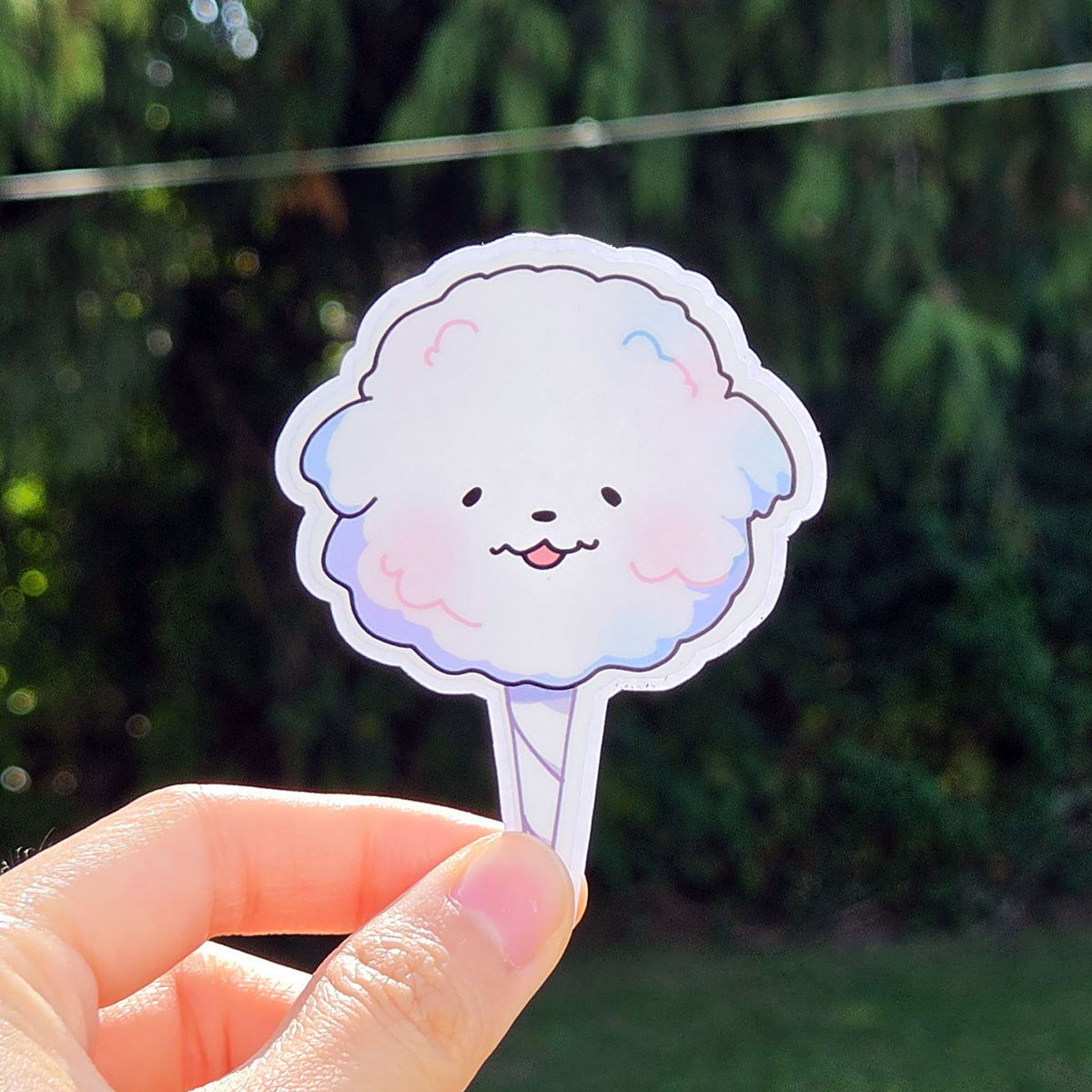 Cotton Candy Bichon Sticker