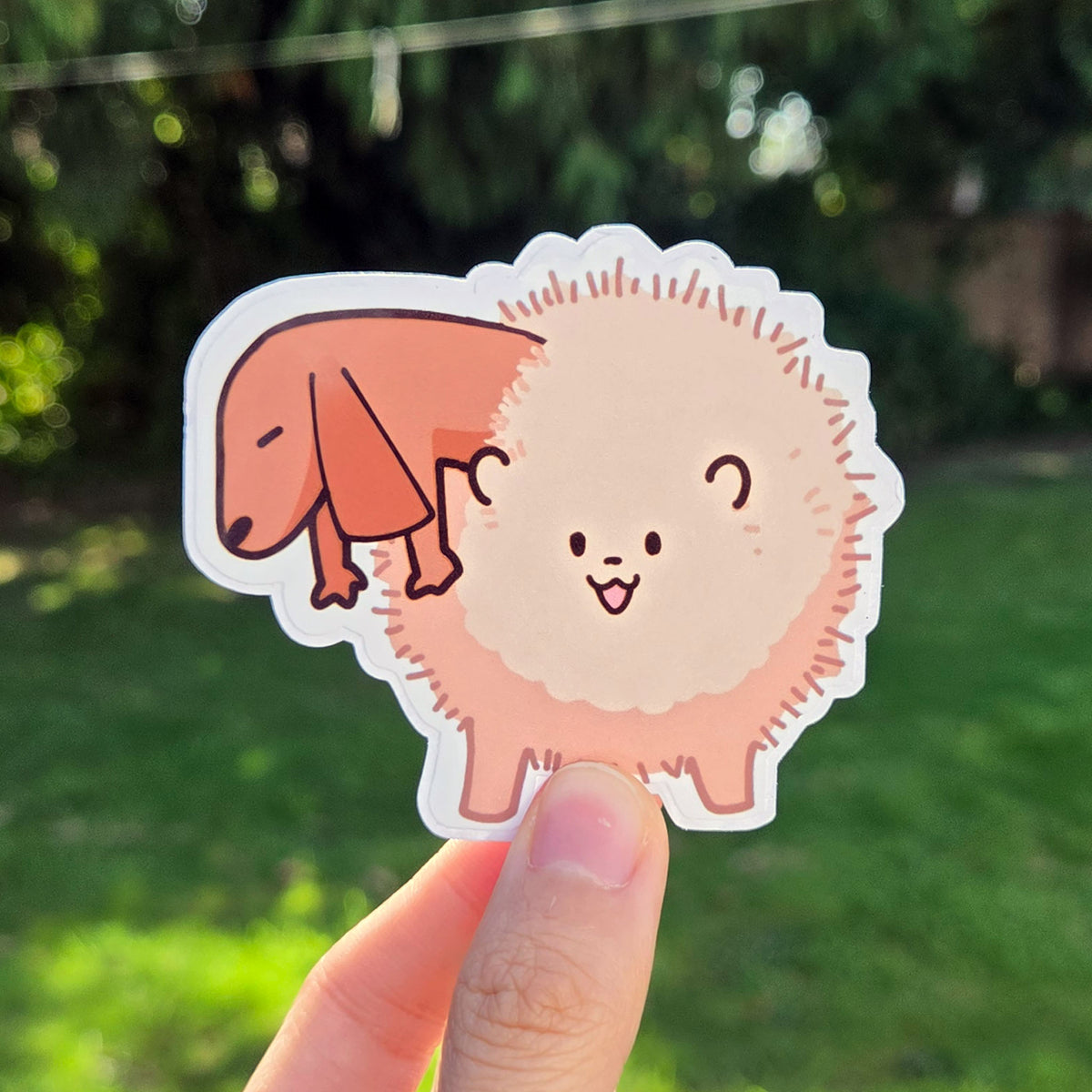 Pomeranian Hotdog Sticker
